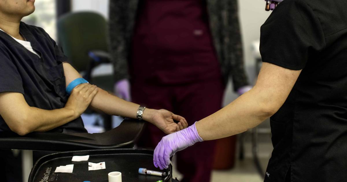 Is Bruising After Blood Donation Normal? PhlebotomyU Training Center