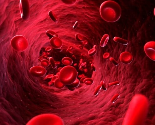The Lifecycle of Human Blood Cells