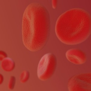 What is Therapeutic Phlebotomy?